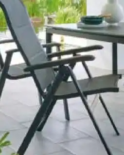 BayWa Haveson Klappsessel Corento Angebot