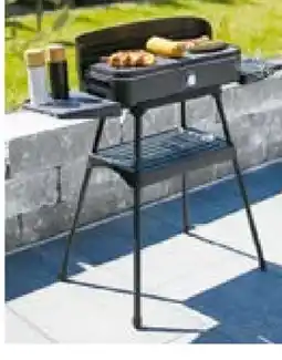 BayWa Rothmann Elektrogrill Brownsville Angebot