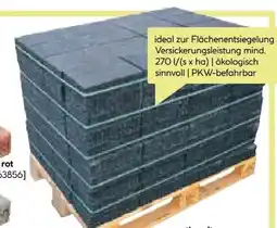 BayWa Lusit Filterpflaster Lusodrain Angebot