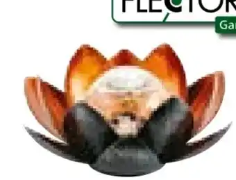 BayWa Flector Garten LED-Solar-Dekoleuchte Lotus Angebot