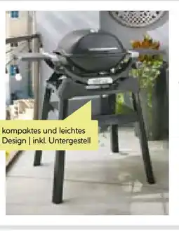 BayWa Weber Gasgrill Q1200N Angebot
