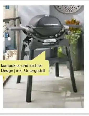 BayWa Weber Gasgrill Q1200N Angebot