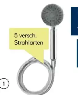 BayWa Valblue Handbrause-Set Elsa Angebot