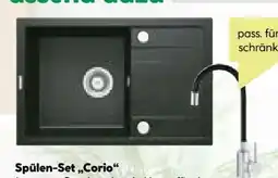 BayWa Deante Spülen-Set Corio Angebot