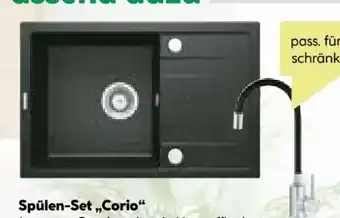 BayWa Deante Spülen-Set Corio Angebot