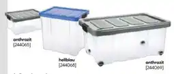 BayWa Aufbewahrungsbox Angebot