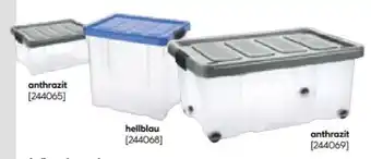 BayWa Aufbewahrungsbox Angebot