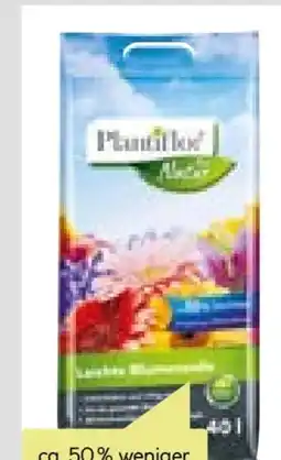 BayWa Plantiflor Leichte Blumenerde Angebot