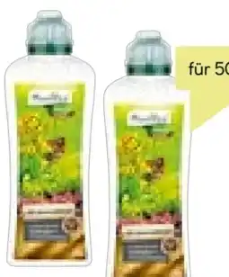 BayWa Plantiflor Bio Universaldünger Angebot