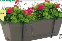 BayWa Blumenkasten Venezia Angebot