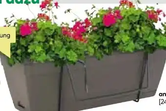 BayWa Blumenkasten Venezia Angebot