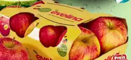 PENNY Evelina Äpfel Angebot