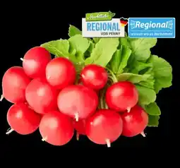 PENNY Marktliebe Regional Radieschen Angebot