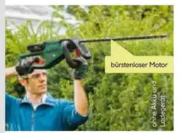 BayWa Bosch Akku-Heckenschere Universal-Hedge-Cut 18V-55 Solo Angebot