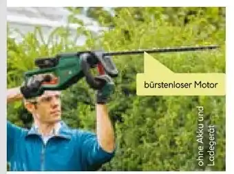BayWa Bosch Akku-Heckenschere Universal-Hedge-Cut 18V-55 Solo Angebot
