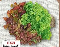 nahkauf Rewe Regional Wurzelsalate Salattrio Angebot