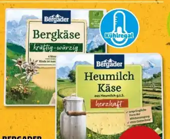 PENNY Bergader Heumilch Käse Angebot