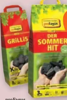 tegut proFagus Holzkohle Der Sommerhit Angebot