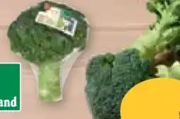 tegut Bioland tegut... Bio-Brokkoli Angebot