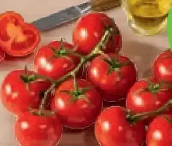tegut tegut... Bio-Cherrystrauchtomaten Angebot
