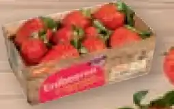 tegut tegut... Erdbeeren Angebot