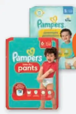 tegut Pampers Baby-Dry Pants Angebot