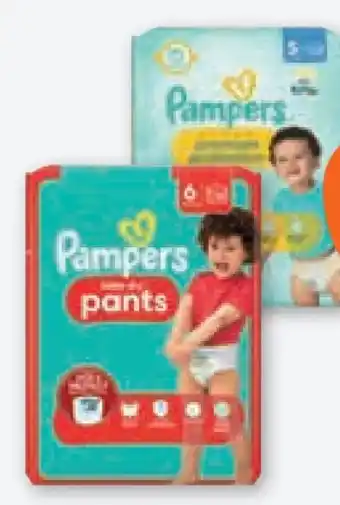 tegut Pampers Baby-Dry Pants Angebot