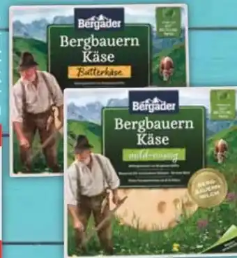 E-Center Bergader Bergbauern-Käse Mild-nussig Angebot