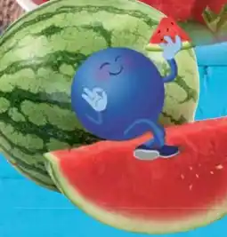 E-Center Wassermelone Angebot
