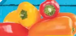 E-Center Mini Paprika Mix Angebot