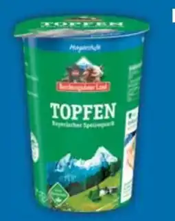 E-Center Berchtesgadener Land Topfen Angebot