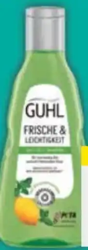 E-Center Guhl Shampoo Angebot