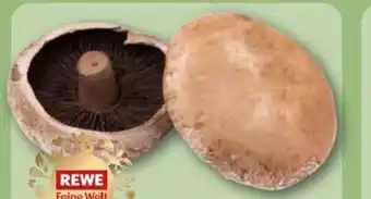 REWE Center Rewe Feine Welt Portobello Pilze Angebot