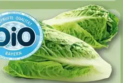REWE Rewe Bio Romana Salatherzen Angebot