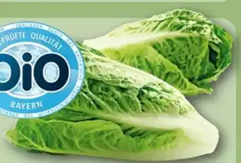 REWE Rewe Bio Romana Salatherzen Angebot