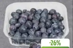 Edeka Frischemarkt Kulturheidelbeeren Angebot