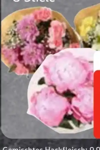 Edeka Frischemarkt Premium Pfingstrosen Angebot