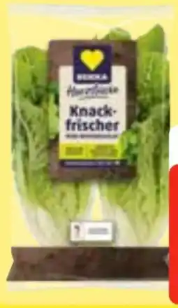 Edeka Frischemarkt Edeka Herzstücke Mini Romana Salat Angebot