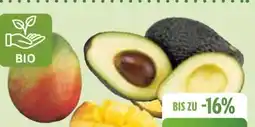 Edeka Bio-Mango Angebot