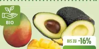 Edeka Bio-Mango Angebot