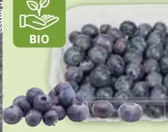 Edeka Bio Kulturheidelbeeren Angebot