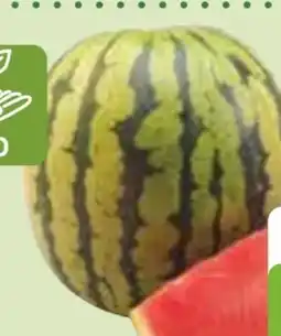 Edeka Bio-Mini-Wassermelone Angebot