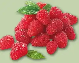 REWE Center Rewe Beste Wahl Frische Himbeeren Angebot