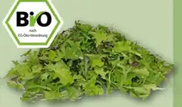 REWE Center Rewe Bio Crispy Salatmix Angebot