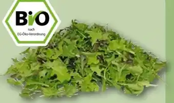 REWE Center Rewe Bio Crispy Salatmix Angebot