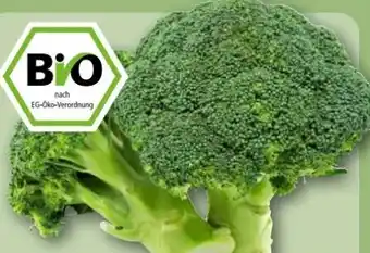 REWE Center Rewe Bio Broccoli Angebot
