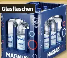 REWE Center Magnus Mineralwasser Angebot