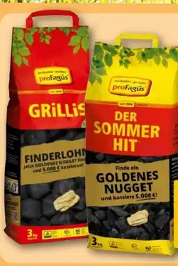 REWE Center proFagus Grill-Holzkohle Angebot