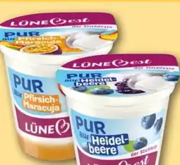REWE Center Lünebest Pur Fruchtjoghurt Angebot