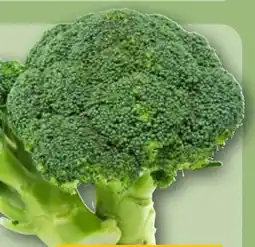 REWE Rewe Bio Broccoli Angebot